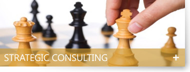 Strategic Consulting